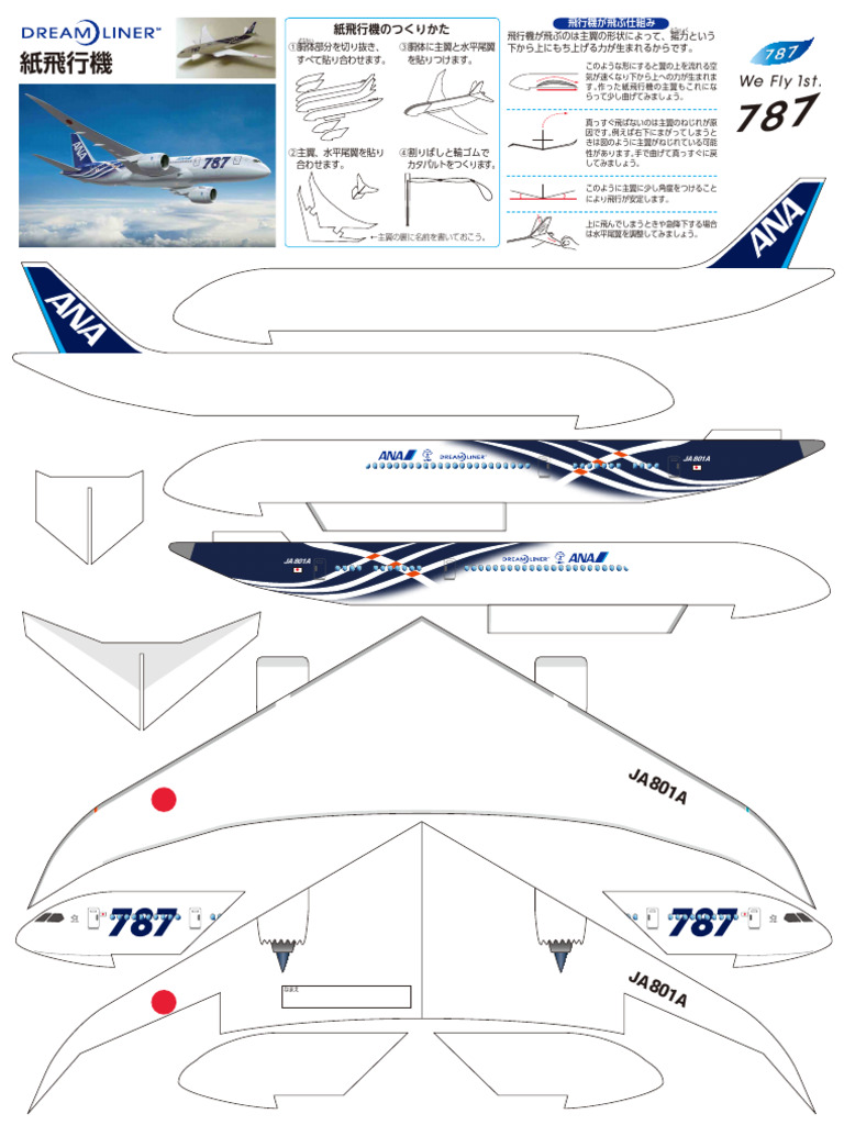 Airplane B787 01 | PDF