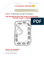 CoC Onion Cells Investigation