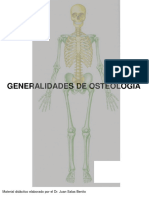 Generalidades de Huesos