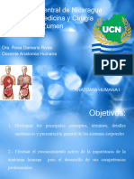 Introduccion A La Anatomia Humana