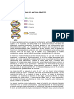 Biologia Noveno Unidad 13 Organización Del Material Genetico