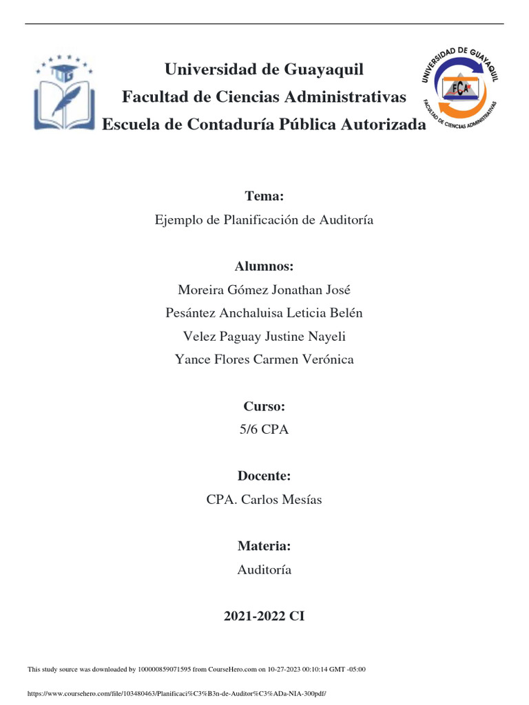 planificaci-n-de-auditor-a-nia-300-pdf-pdf-auditor-a-contador