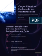 Cargas Electricas Explorando Sus Manifestaciones