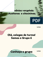 Roxo e Verde Animado Padrão Abstrato Projeto em Grupo Apresentação Educacional