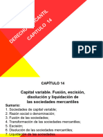 Capital Variable. Fusion, Escisión, Cap. 14-1