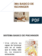 03 Sistema Basico de Pischinger