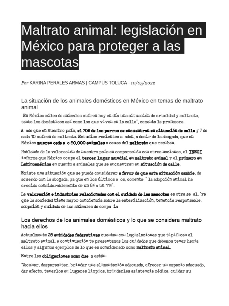 Animal Perspectiva Legal En México Y América Latina Contra El Maltrato ...