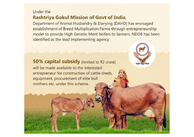 Dairy Subsidy PDF