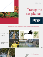 9 - Transporte Nas Plantas 1