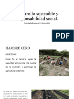 Desarrollo Sostenible y Responsabilidad Social