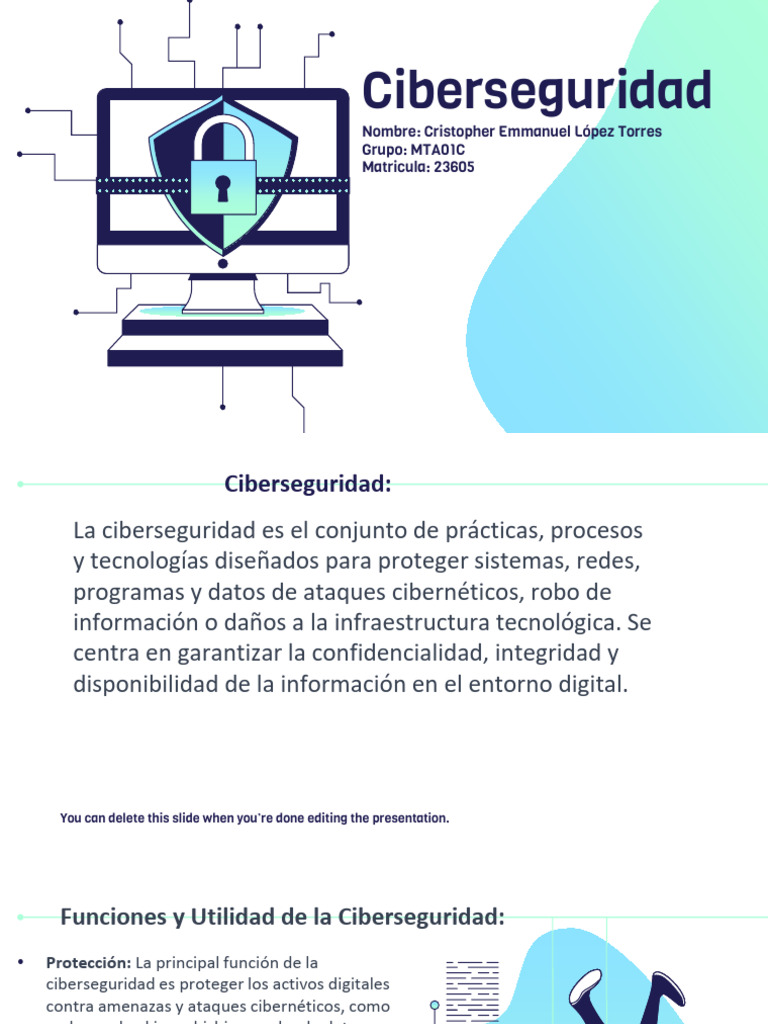 Ciberseguridad Pdf