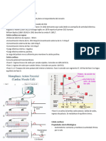 Electrocardiograma