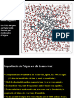 U1 La Composiciã Dels Ã©ssers Vius 3