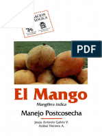 Mango Mangiferia Manejo Postcosecha