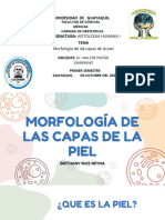 Morfologia de Las Capas de La Piel - Ruiz Brithany