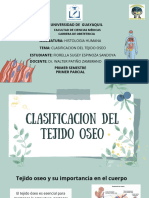 Clasificacion Del Tejido Oseo