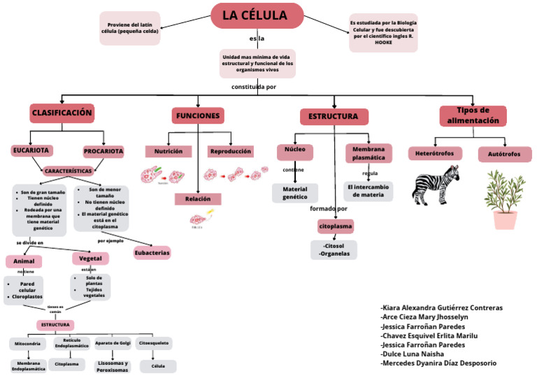 Estructura y Funciones de Células Eucariotas | PDF | Citoplasma ...