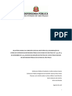 RELATÓRIO ANUAL DA COMISSÃO ESPECIAL INSTITUÍDA PELA DELIBERAÇÃO DO CONSELHO SUPERIOR DA DEFENSORIA PÚBLICA DO ESTADO DE SÃO PAULO N.º 307, DE 19 DE NOVEMBRO DE 2014, NO BOJO DA ADOÇÃO DA POLÍTICA DE COTAS ÉTNICO-RACIAIS NA DEFENSORIA PÚBLICA DO ESTADO DE SÃO PAULO