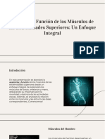 Wepik Anatomia y Funcion de Los Musculos de Las Extremidades Superiores Un Enfoque Integral 20231026024928oLG4