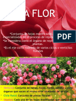 Flor - 202350