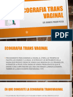 Ecografia Trans Vaginal