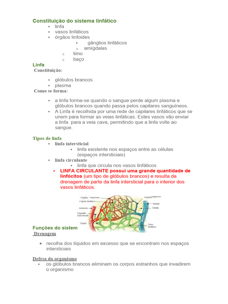Constituição Do Sistema Linfático Pdf Sistema Linfático Linfa
