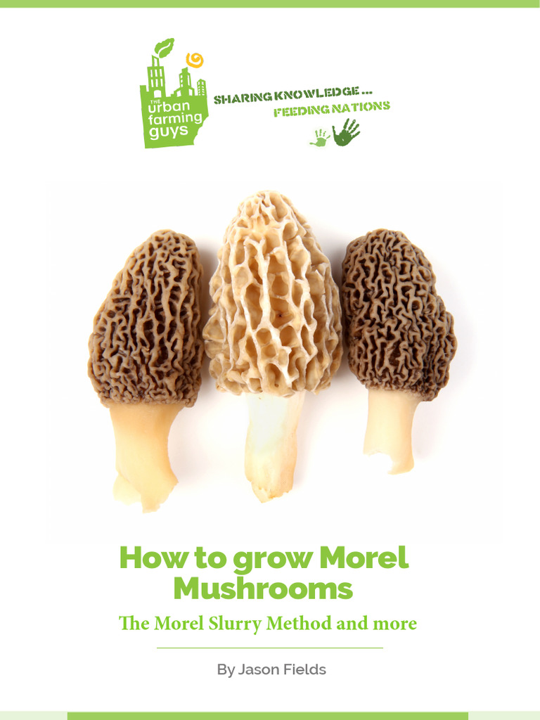 Morel Slurry Manual PDF Mushroom Soil