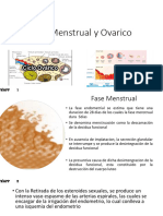 Ciclo Ovarico y Menstrual Completo-1