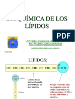 t2 Lipidos - Oxidacion de Ac. Grasos