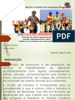 TEMA - CULTURA ORGANIZACIONAL 2022 PT - 084903