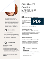 Curriculum Vitae Profesional