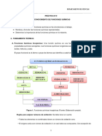 PRÁCTICA N° 2 - RECONOCIMIENTO DE FUNCIONES QUÍMICAS (2)