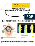 Tumores INTRADURALES EXTRAMEDULARES