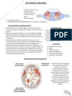 Semiologia de Columna