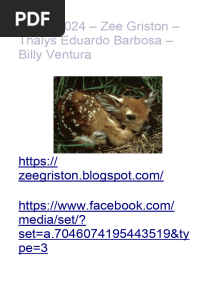 Oscar 2024 Zee Griston and The Eyes of Armageddon - Thalys Eduardo Barbosa - Billy Ventura 1