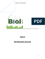 Tema8 Metabolismo