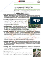 Ficha de Aprendizaje N 01 de 1º E.P.T - 2