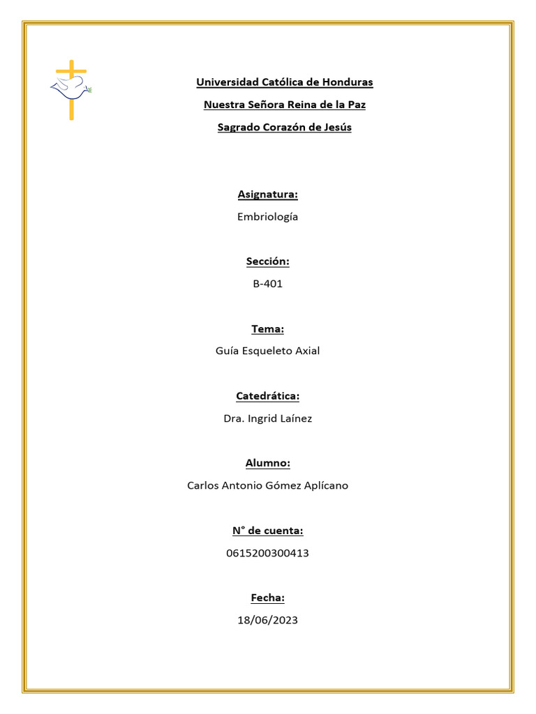 Guía De Esqueleto Axial Pdf