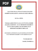 qaaccessa-asoosama-afaan-oromoo-pdf