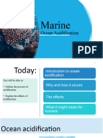 Year 11-OceanAcidificationI Intro PT 1