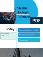 Year 11-Fishery pt2