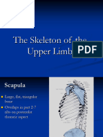 2nd Week - The Skeleton of The Upper Limb