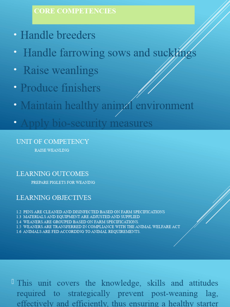 Q2 Module 3 Animal Swine Pdf Pig Injection Medicine