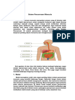 Sistem Pencernaan Manusia: 1. Mulut