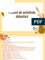 Proiect Didactic Mijlocie A