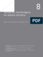 Variación Morfológica en Bovino Lechero: Sañudo, C., Sánchez García, C. y Marcén, J.M.
