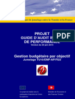 Guide Audit Performance