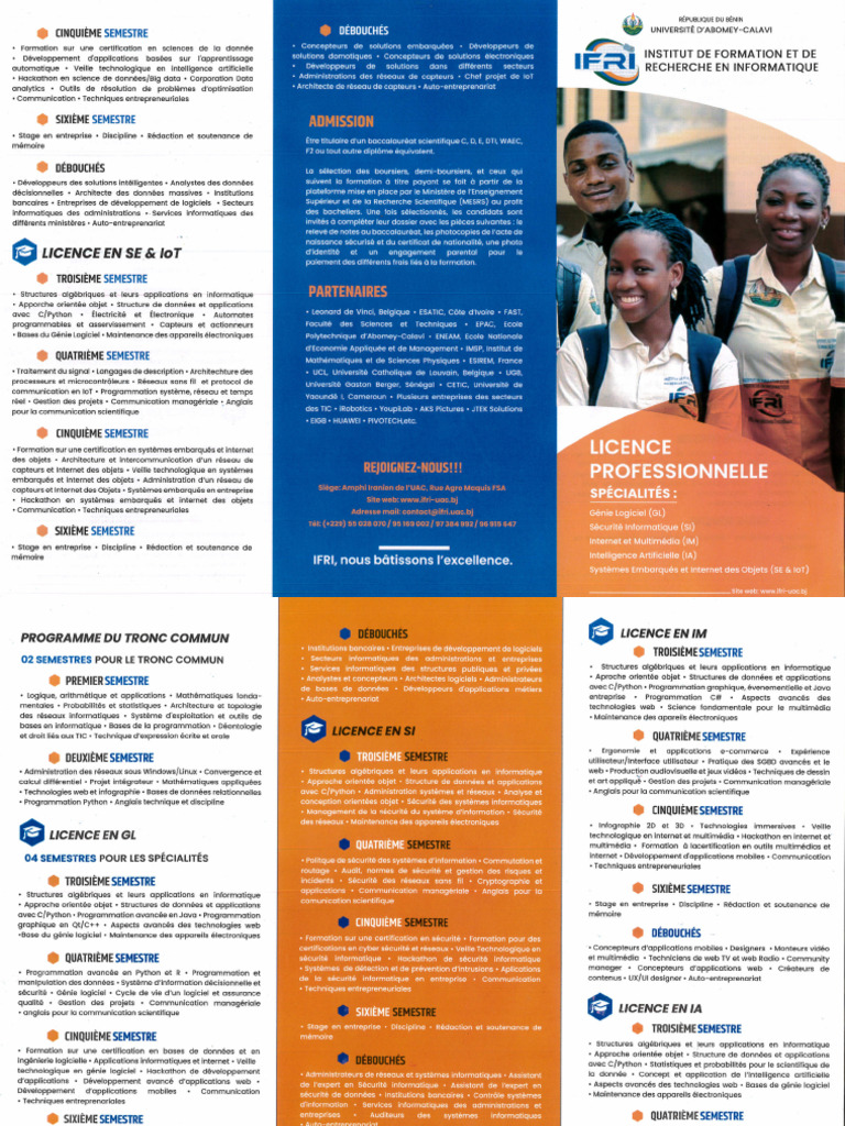 Prospectus Licence IFRI | PDF