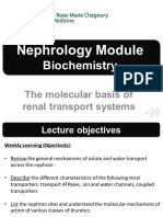 Renal Transport Systems