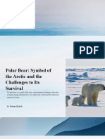 Polar Bear Symbol of The Arctic and The Challenges To Its Survival